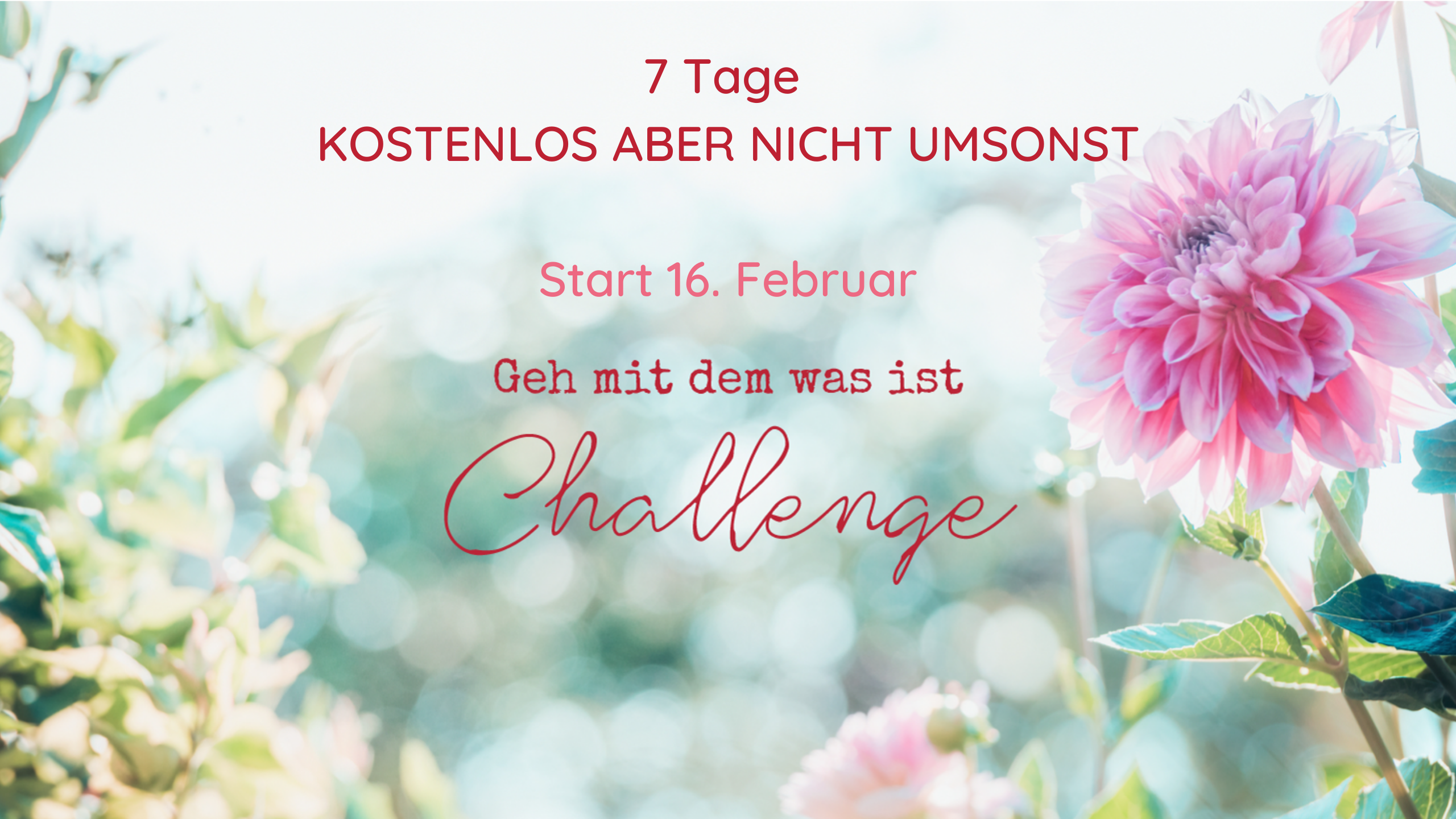 7 Tage Challenge
